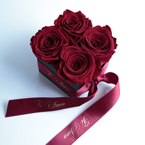 ROSEMARIE SCHULZ® Heidelberg Ti Amo - Rosenbox mit Infinity Rosen Haltbar 3 Jahre/Flowerbox/ti Amo Geschenk Zum Valentinstag/Geschenkbox für Frauen/8,5 x 8,5 cm (Ti Amo, Dunkelrot) - 7