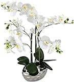 Kunstpflanze Orchidee XL, weiß
